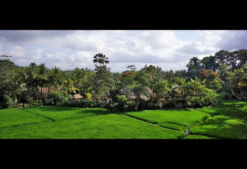 Fotos del hotel Arma Museum & Resort:  18