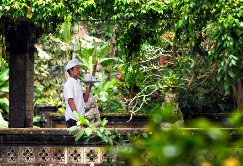 Fotos del hotel Arma Museum & Resort:  2