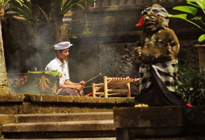 Fotos del hotel Arma Museum & Resort:  5