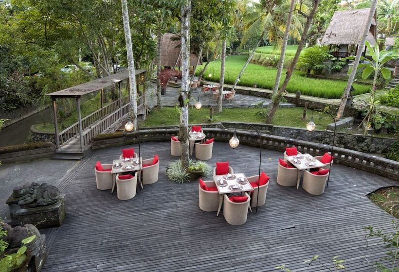 Fotos del hotel Arma Museum & Resort:  21