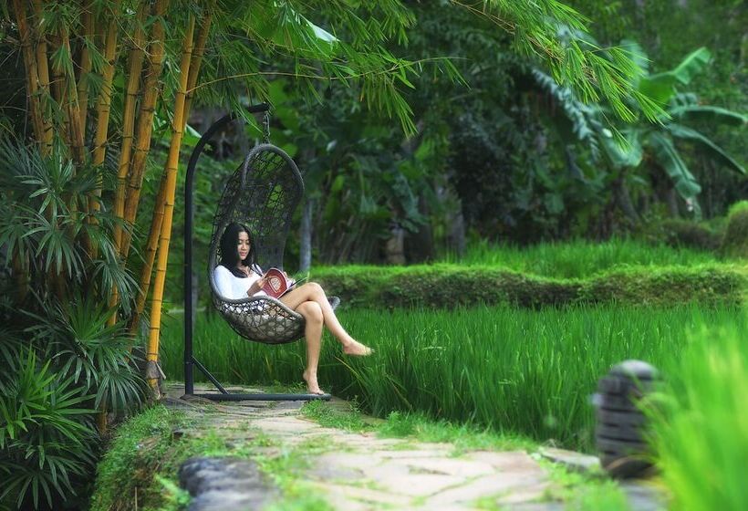 Fotos del hotel Arma Museum & Resort:  22