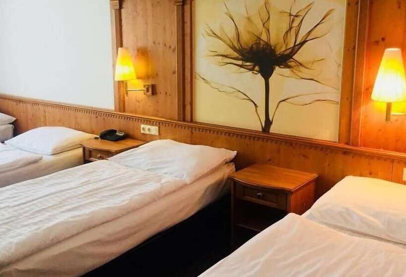 Fotos del hotel Braník:  3