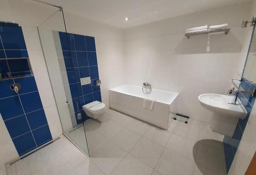 Fotos del hotel Tj Chodov:  39