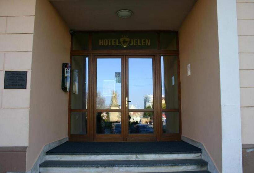 Отель Jelen