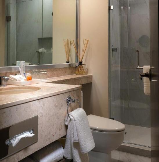 Fotos del hotel Krystal Monterrey:  19