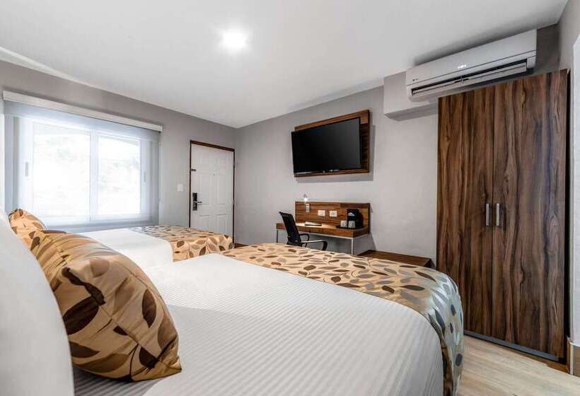 Fotos del hotel Sleep Inn Monterrey Norte:  43