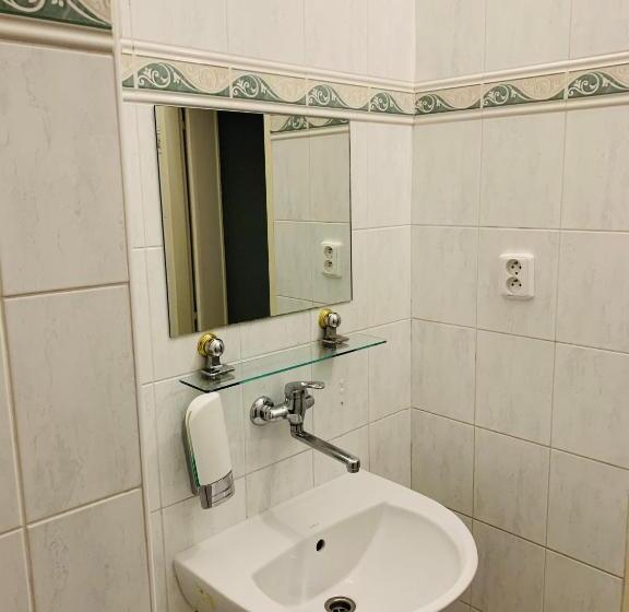 Fotos del hotel Slovan:  39