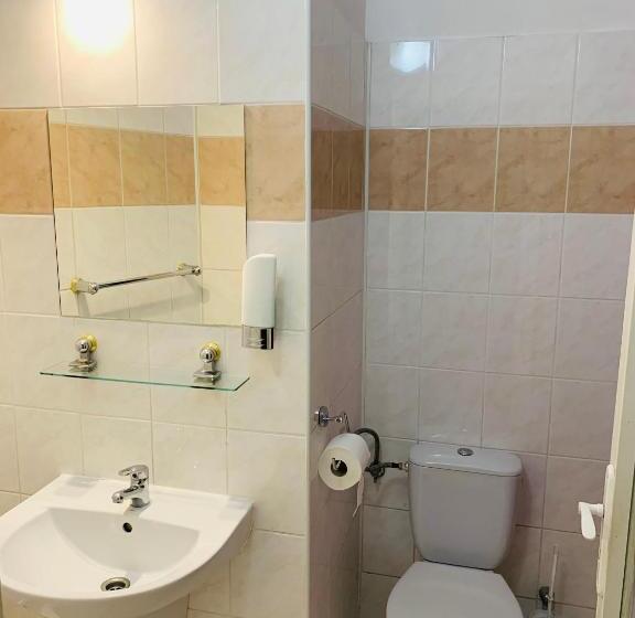Fotos del hotel Slovan:  42