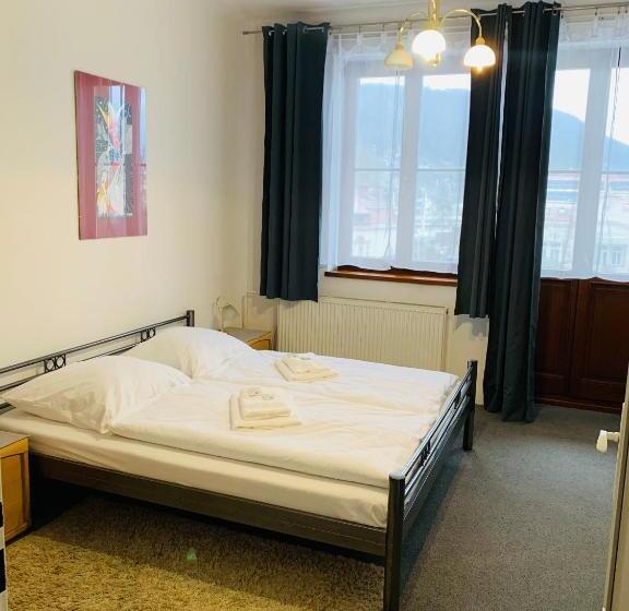 Fotos del hotel Slovan:  41
