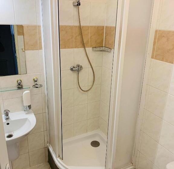 Fotos del hotel Slovan:  40