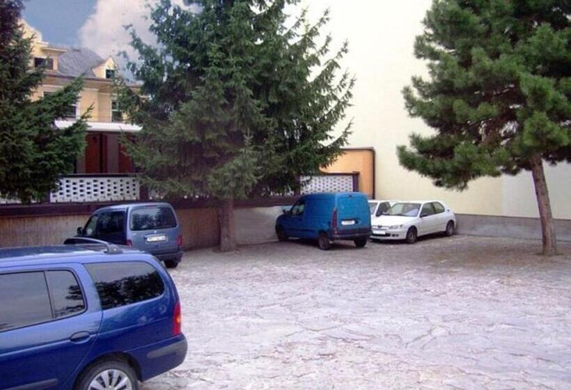 Fotos del hotel Slovan:  53