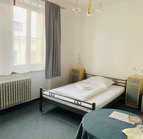 Fotos del hotel Slovan:  27