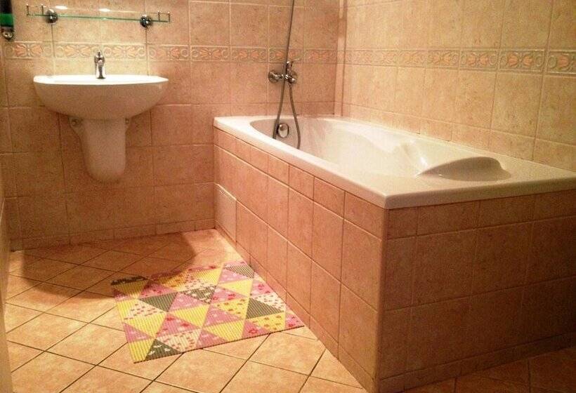 Fotos del hotel Slovan:  19