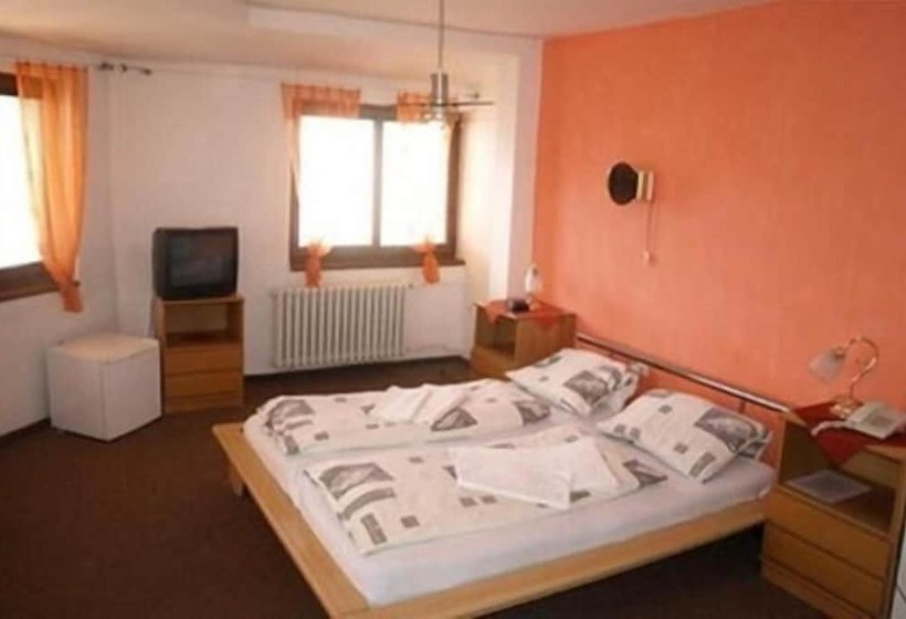 Fotos del hotel Slovan:  45