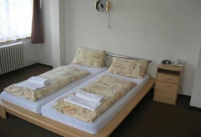 Fotos del hotel Slovan:  46