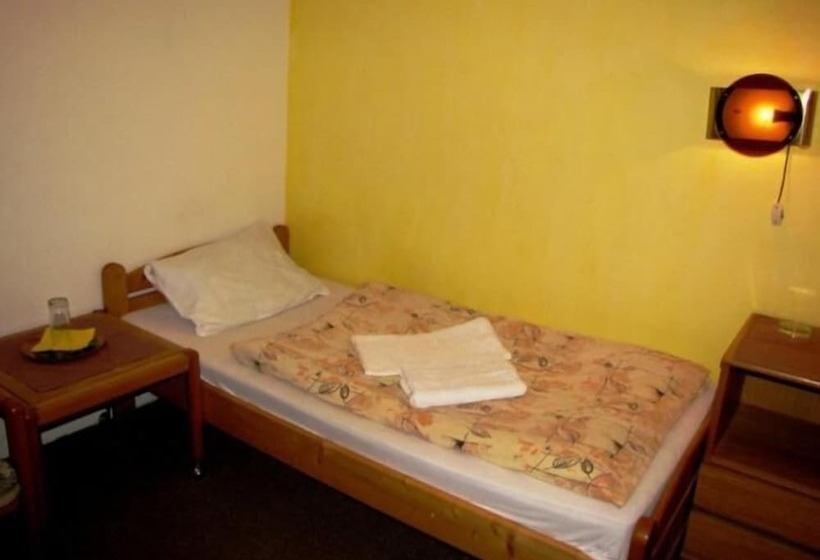 Fotos del hotel Slovan:  47