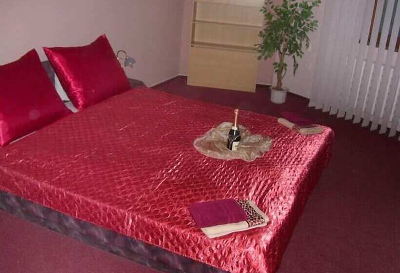 Fotos del hotel Slovan:  49