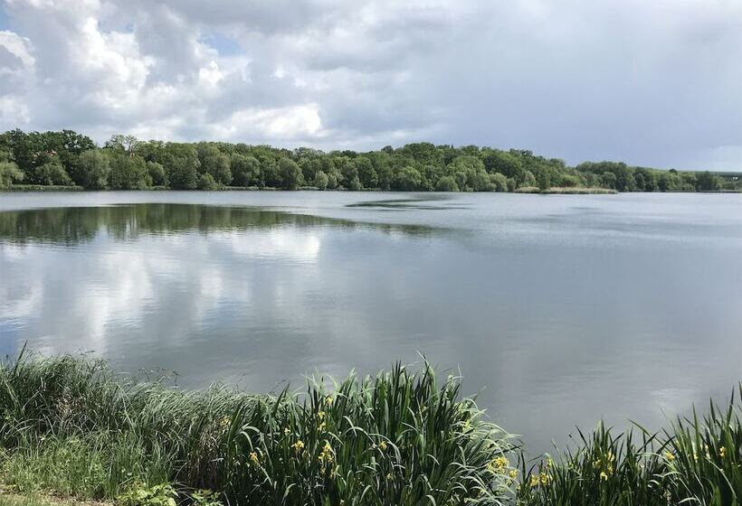 Fotos del hotel Svornost:  24