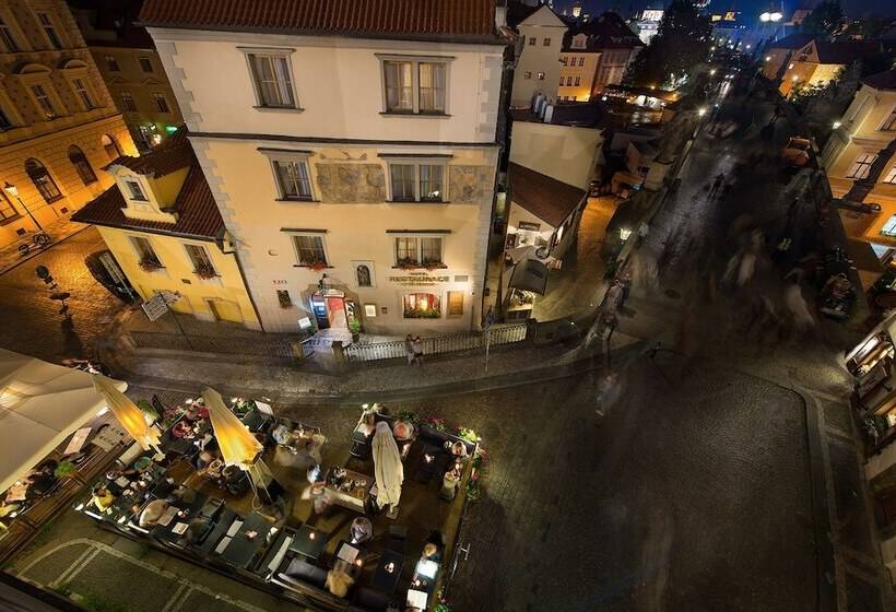 Fotos del hotel U Tri Pstrosu:  13