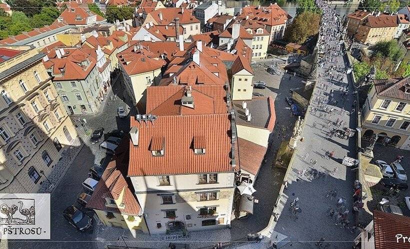 Fotos del hotel U Tri Pstrosu:  6