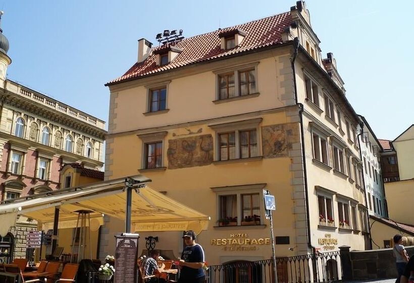 Fotos del hotel U Tri Pstrosu:  9