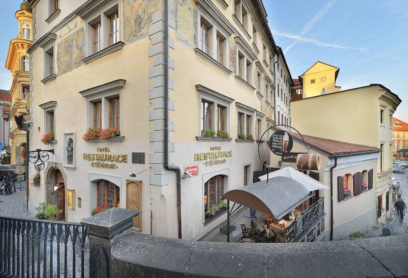 Fotos del hotel U Tri Pstrosu:  12