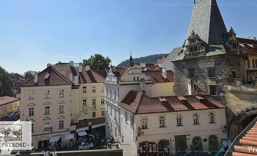 Fotos del hotel U Tri Pstrosu:  18