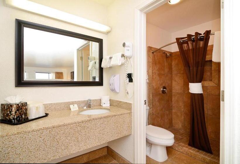 فندق Best Western Colorado River Inn