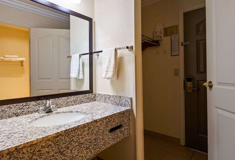 Отель Best Western Executive Inn