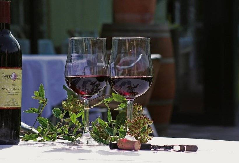 ホテル Maxx By Steigenberger Deidesheim