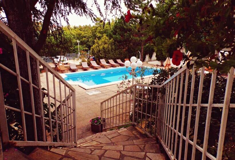 Fotos del hotel Monica:  28