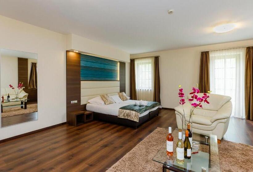 酒店 Villa Völgy Wellness & Konferencia
