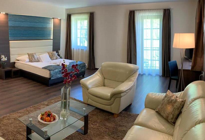 酒店 Villa Völgy Wellness & Konferencia