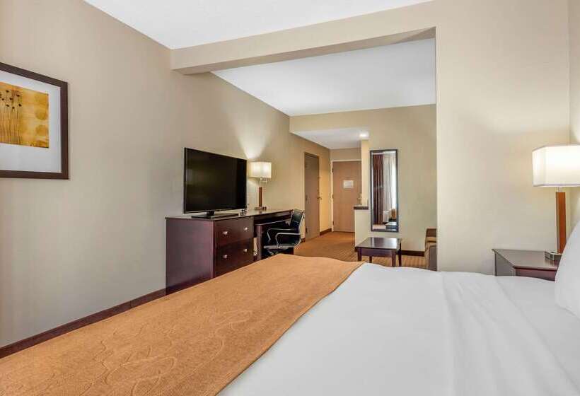 酒店 Comfort Suites
