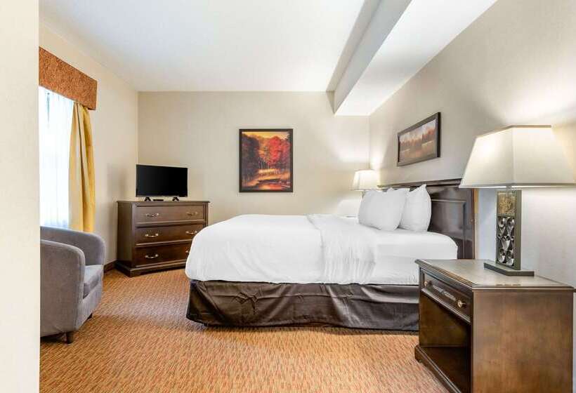 Hotel Quality Inn  Sarnia