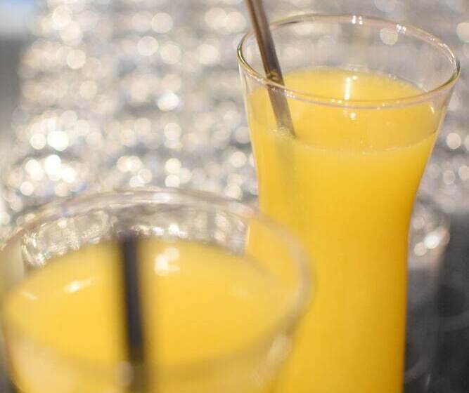 Fotos del hotel Ritz Hotel Mendoza:  10