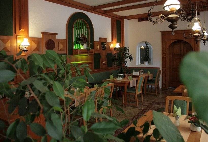 Hotel Sachsischer Hof