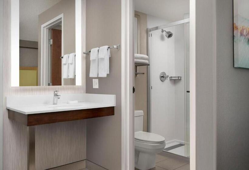 בית מלון כפרי Springhill Suites By Marriott Boise Parkcenter