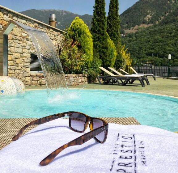 Fotos del hotel Andorra Palace:  10