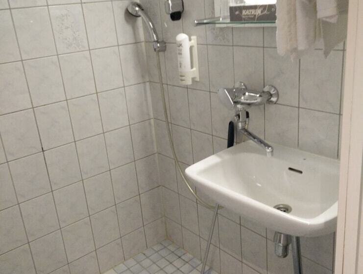 Fotos del hotel Arthur:  19