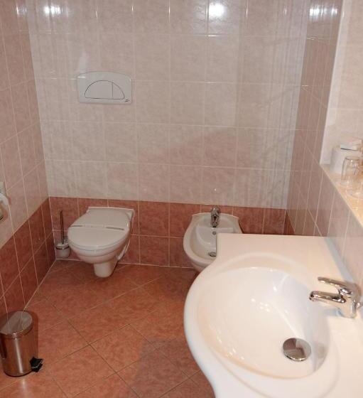 هتل česká Koruna