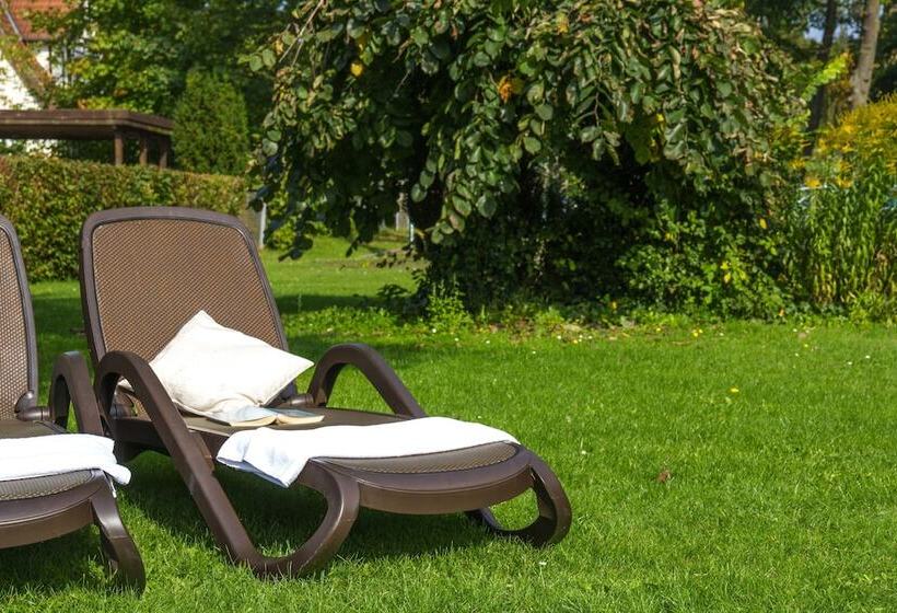 Falk Seehotel Plau Am See