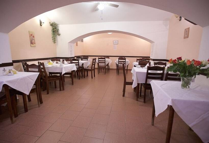 Fotos del hotel Olga:  24