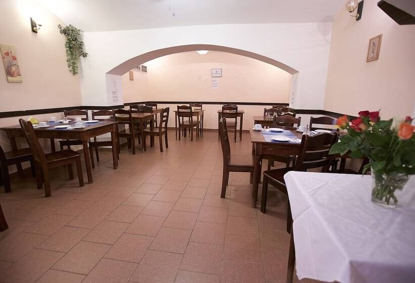 Fotos del hotel Olga:  27