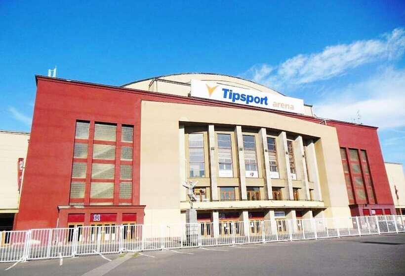 Fotos del hotel Olga:  14