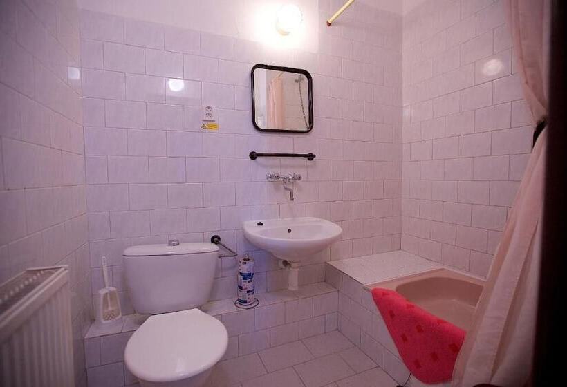 Fotos del hotel Olga:  18