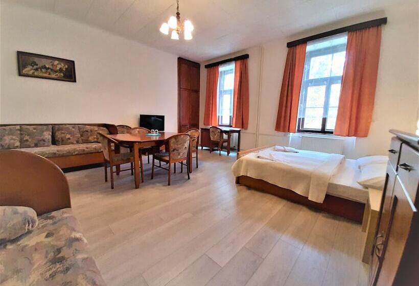 Fotos del hotel Olga:  4