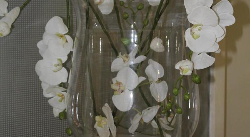 Fotos del hotel Windsor:  11