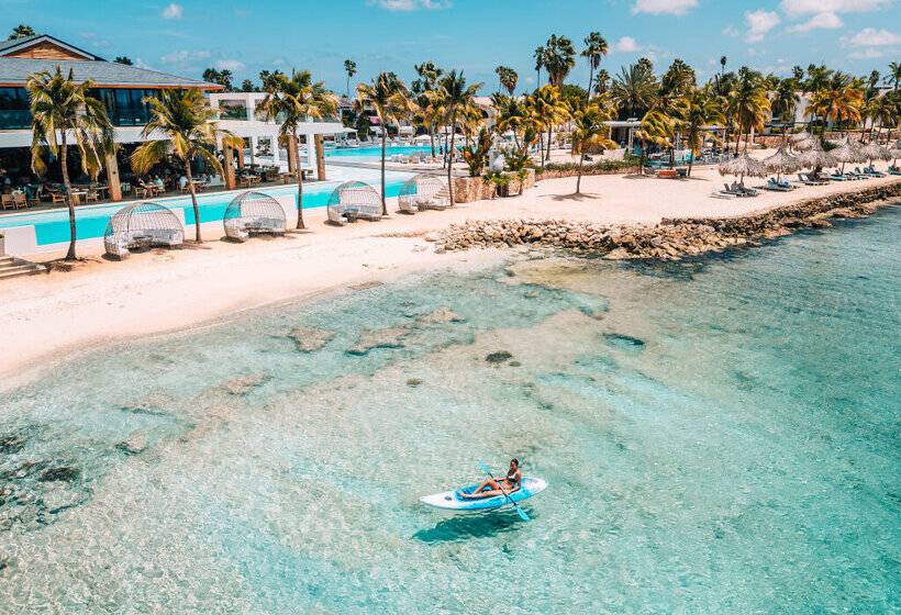 Van Der Valk Plaza Beach & Dive Resort Bonaire