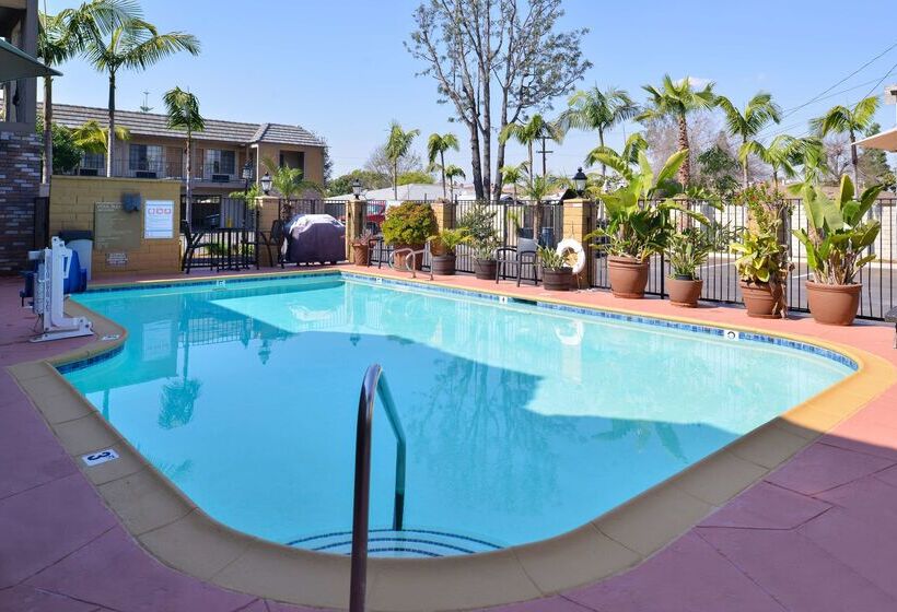 هتل Best Western Palm Garden Inn